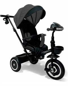 Трехколесный велосипед с ручкой Bubago Dragon / BG 161-3