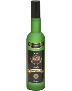 Туалетная вода Positive Parfum Vodka Napoleon Positive parfum