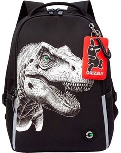 Школьный рюкзак Grizzly RB-551-6