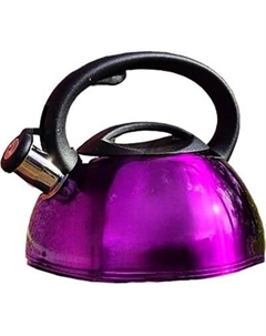 Чайник со свистком Kaisa Villa KV-501 Kaisa villa