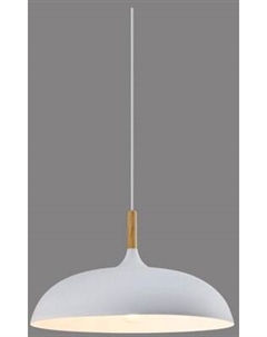 Потолочный светильник Moderli Hygo V11447-1P