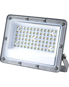 Прожектор ЭРА PRO LPR-063-0-65K-050 / Б0067705 Эра