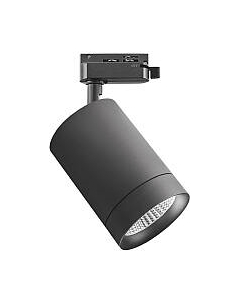 Трековый светильник Lightstar Canno 303274