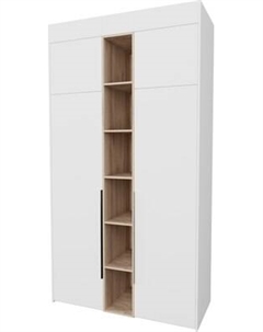 Шкаф Рэйгрупп Рэй S245-В4-EBЕ В4