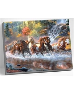 Картина по номерам Молли Лошади у водопада 40x50 / HR0168 Molli
