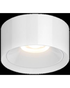 Точечный светильник Citilux Rover CL743060N