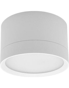 Точечный светильник Truenergy 21031