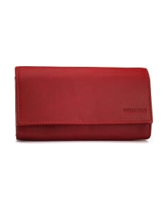 Портмоне Bellugio TD-88R-064M