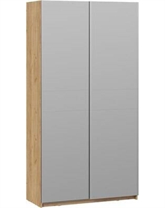 Шкаф-купе ТриЯ Оскар Т2 1200 / 271183 Трия