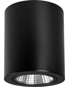 Точечный светильник Arlight SP-FOCUS-R120-16W Day4000 BK 24deg / 028742