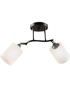 Потолочный светильник Aitin-Pro НПБ 02-2x60-101 / K2316/2 Aitin-pro