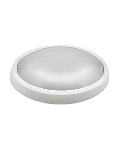 Светильник ЖКХ JAZZway 1024565 Jazzway