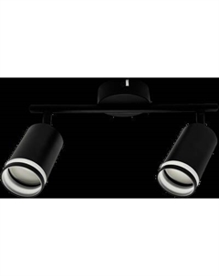 Спот Truenergy 21462