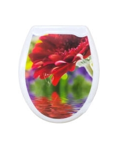 Сиденье для унитаза Еврокомфорт Красная гербера 104-406-00