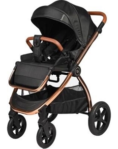 Детская универсальная коляска Tomix Walker Lux 3 в 1 / BD101TRIPLLUX