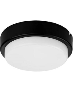 Светильник ЖКХ TDM SQ0366-0161 Tdm