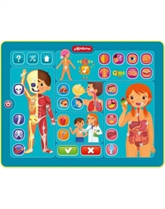 Развивающая игрушка Азбукварик Тело человека. Планшетик / 3355