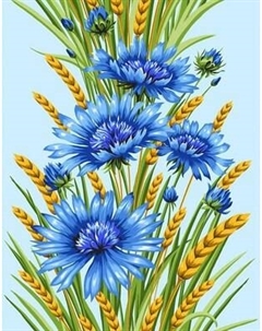 Набор полотенец Миланка 50x60см 175г/м2 100% х/б