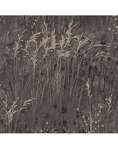 Виниловые обои Vimala Вереск 97113