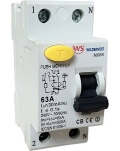 Дифференциальный автомат Wilderness NX6R 2P 40A 30mA тип AC 6kA / NX6RU-2-040-030AC