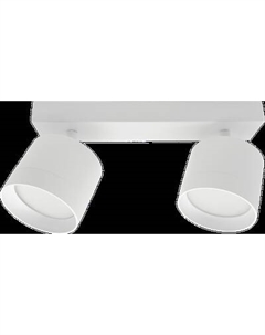 Спот Truenergy 21381