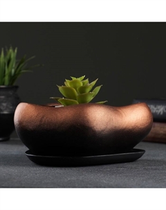 Горшок для кактусов и суккулентов «Бонсай», 600 мл, 17×14×8 см, керамический, с поддоном, цвет бронзовый Хорошие сувениры