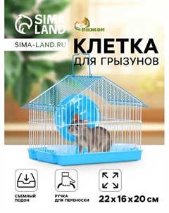 Клетка для грызунов укомплектованная RT-2t, 22 х 16 х 20 см, голубая Пижон