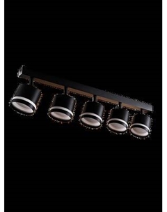 Спот Truenergy 21024