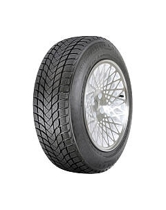 Зимняя шина Landsail Winter Lander 155/80R13 79T