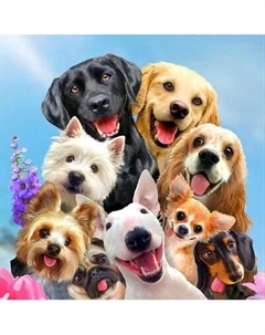 Картина по номерам РЫЖИЙ КОТ Селфи пушистиков / Х-5623 Рыжий кот