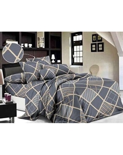 Комплект постельного белья Бояртекс № 1868-4 S/P 2.0 с европростыней