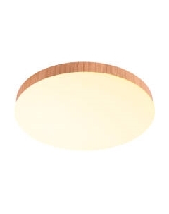 Потолочный светильник Feron AL1600 / 51109