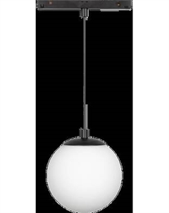 Трековый светильник Arlight MAG-ORIENT-SFERO-HANG-R150-10W Warm3000 BK 300deg / 036049