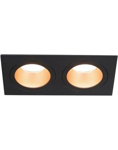 Точечный светильник Ambrella TN102833/2 BK/GD