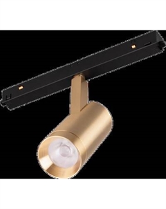 Трековый светильник Arlight MAG-ORIENT-SPOT-R45-12W Warm3000 GD 24deg / 040890