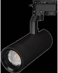 Трековый светильник Arlight LGD-GELIOS-2TR-R80-30W Day4000 BK 20-60deg / 031243