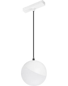 Трековый светильник Arlight MAG-VIBE-EMISFERO-HANG-R100-6W Warm3000 WH 130deg / 044456