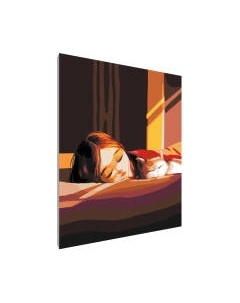 Картина по номерам PaintLine Кошачьи сны Paintline