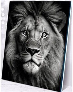 Картина по номерам Флюид Взгляд льва 40x50 / MB0005