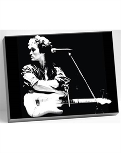 Картина по номерам Молли Виктор Цой 40x50 / HR0255 Molli