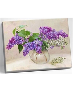 Картина по номерам Молли Бузин. Ветки сирени 40x50 / HR0738 Molli