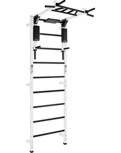 Детский спортивный комплекс Формула здоровья Forman Flexter Profi / ШСТБF0.12-FLX P