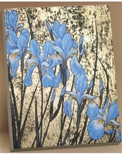 Картина по номерам Флюид Эффектные ирисы 40x50 / HR0392
