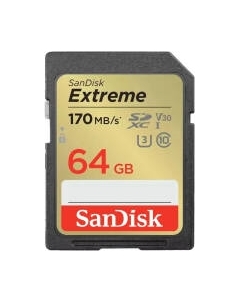 Карта памяти SanDisk Extreme Class 64GB (SDSDXV2-064G-GNCIN) Sandisk
