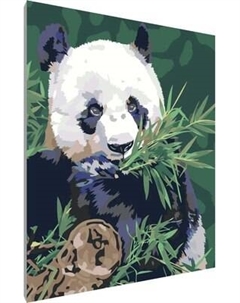 Картина по номерам PaintLine Панда / NOSI-A044 Paintline