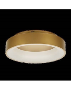 Потолочный светильник MyFar Shannon MR2195-1PL Myfar