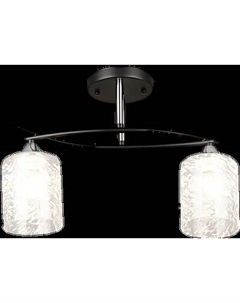 Потолочный светильник Aitin-Pro НПБ 02-2x60-101 / K2351/2 Aitin-pro