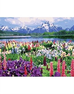 Картина по номерам Centrum 89645