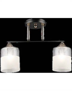 Потолочный светильник Aitin-Pro НПБ 02-2x60-101 / A4409/2 Aitin-pro