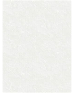 Виниловые обои Аспект 74000-11